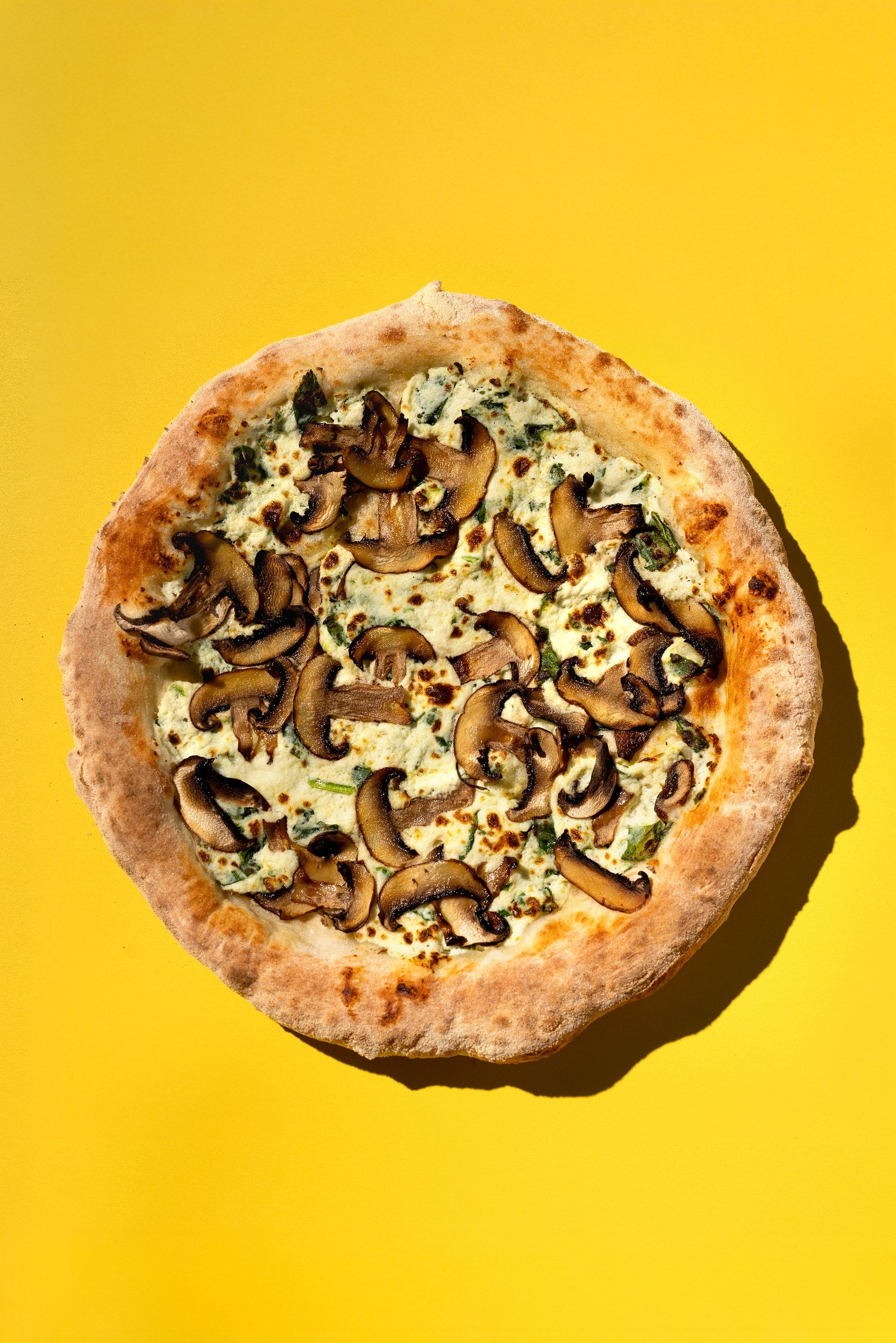 Seasonal Veggie - Frozen Pizza Case