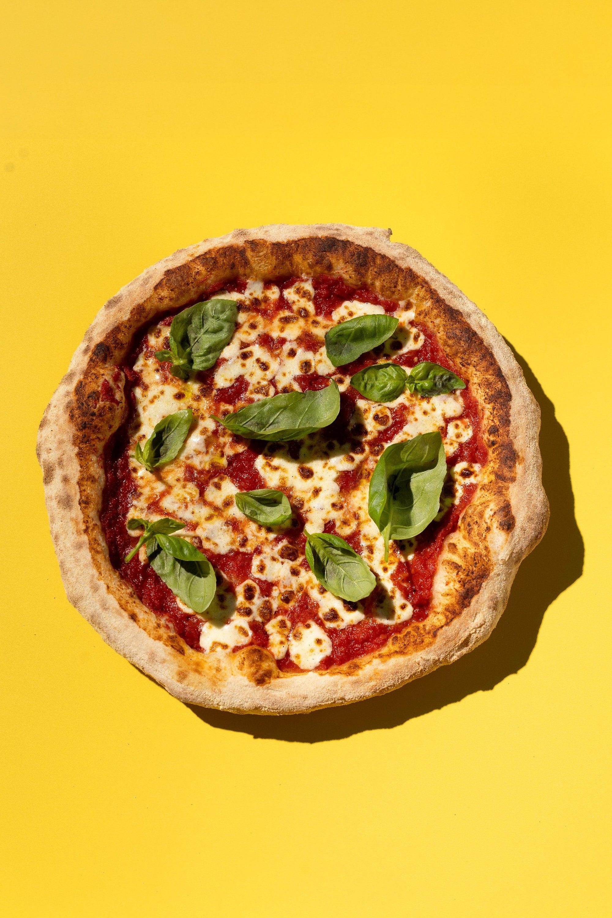 Margherita - Frozen Pizza Case